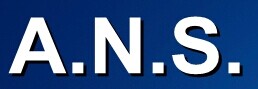 A.N.S. - Agenzia Nazionale per la Sicurezza S.r.l.